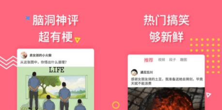 皮豆
