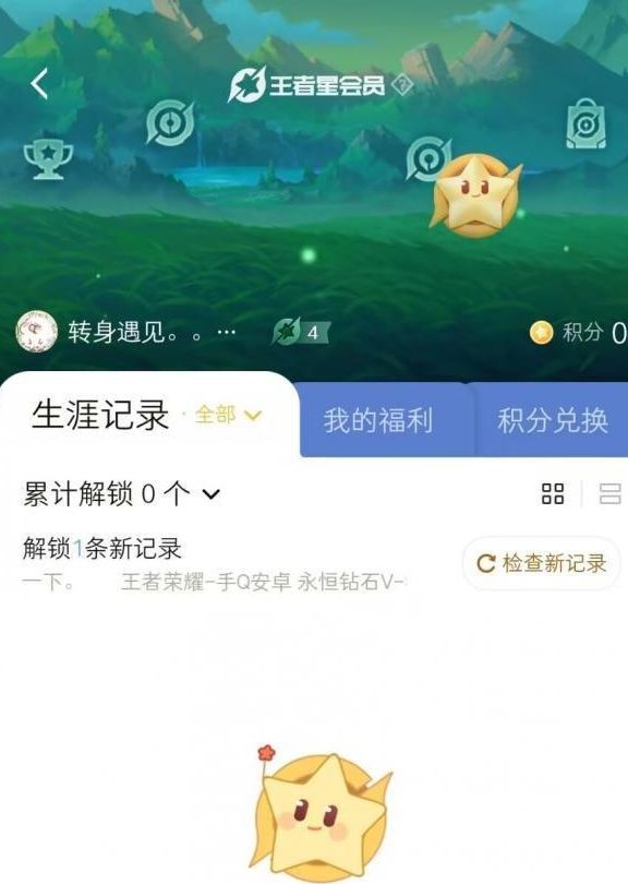 王者荣耀星会员图标在哪星会员图标位置查看方法