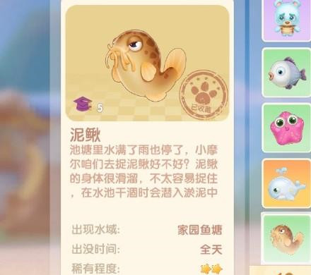 摩尔庄园夏日收集任务完成攻略 夏日收集物品位置分享