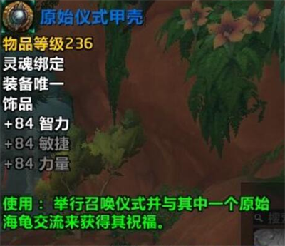 魔兽世界原始仪式甲壳的仪式在哪 10.0原始仪式甲壳的仪式位置介绍