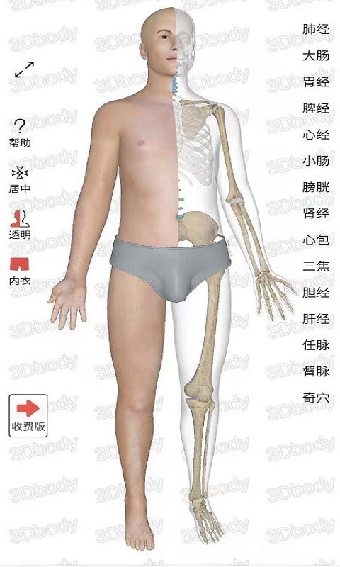 3Dbody经络穴位