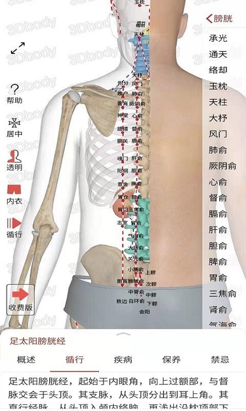 3Dbody经络穴位