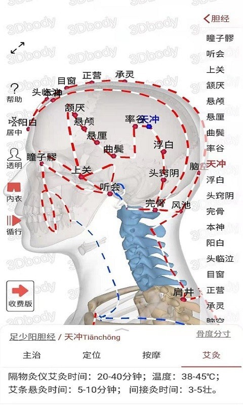 3Dbody经络穴位