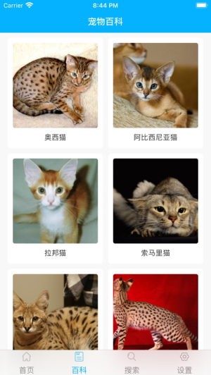 宠物百科