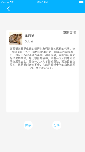 宠物百科