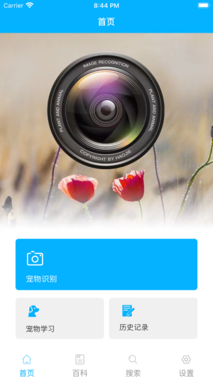 宠物百科