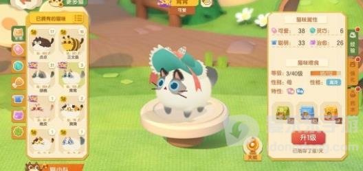 猫咪公寓2亲家选择推荐 亲家最佳选择攻略