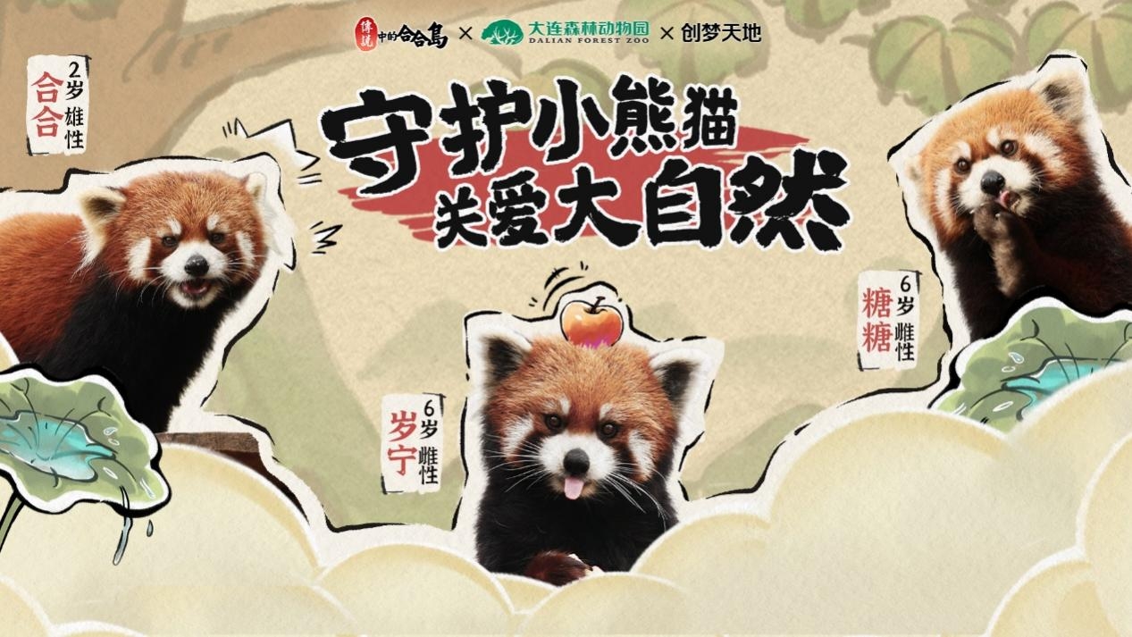 《传说中的合合岛》认养濒危小熊猫，用游戏传播公益游戏