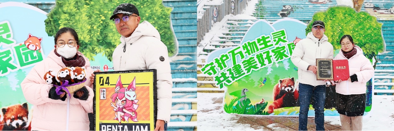 《传说中的合合岛》认养濒危小熊猫，用游戏传播公益游戏