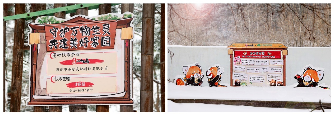 《传说中的合合岛》认养濒危小熊猫，用游戏传播公益游戏