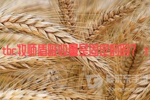 tbc魔兽世界牧师盾固定吗 牧师盾吸收量是不是固定的