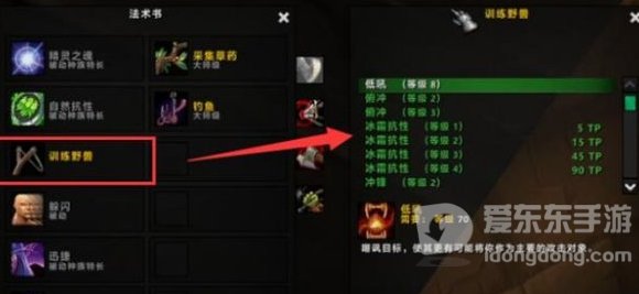 tbc魔兽世界lr最好宝宝 lr用什么宝宝最好