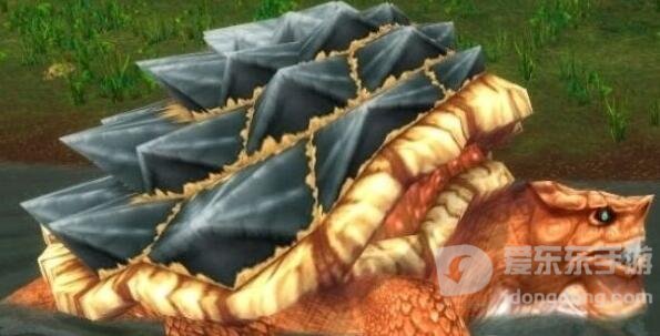 魔兽世界tbc稀有乌龟在哪 稀有乌龟位置坐标