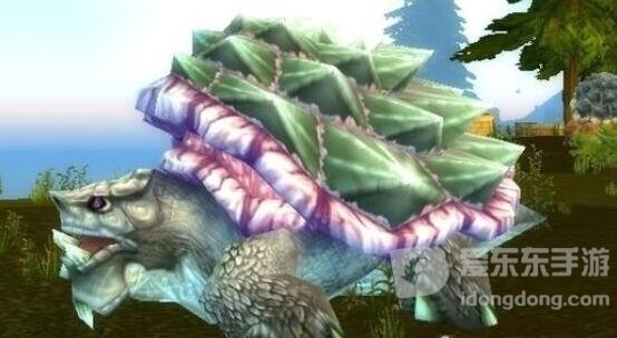 魔兽世界tbc稀有乌龟在哪 稀有乌龟位置坐标