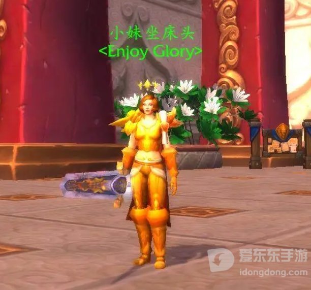 tbc魔兽黄金色的板甲幻化大全 黄金色的板甲幻化外观