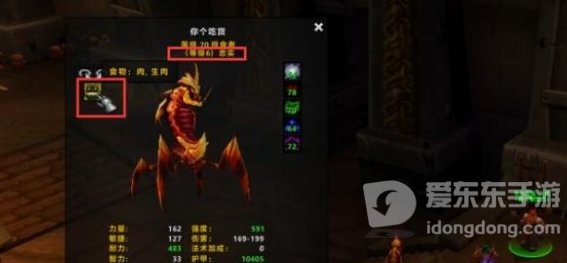 魔兽世界tbc猎人宝宝种类推荐 猎人带什么宝宝好