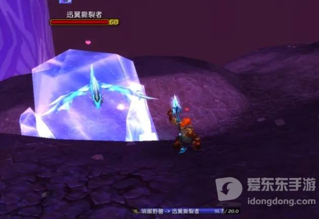 魔兽世界tbc怀旧服猎人宝宝推荐 猎人用什么宝宝好