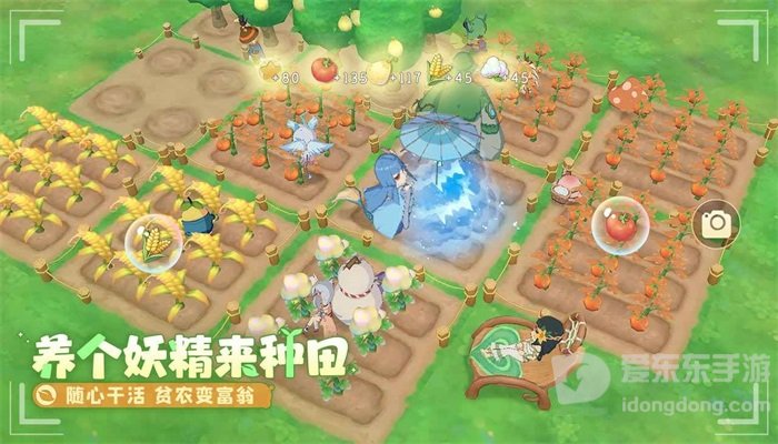 织梦森林宝具种类有哪些 织梦森林宝具作用介绍