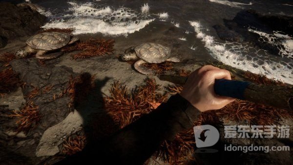 森林之子紫色感叹号是什么 紫色感叹号含义介绍