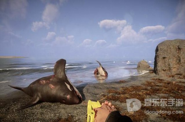 森林之子吉他位置分享 吉他在哪