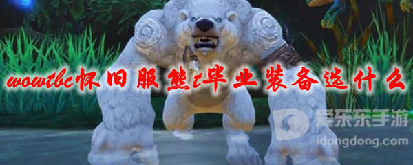 魔兽世界怀旧服tbc熊t毕业装备搭配攻略 tbc熊t毕业装备是什么