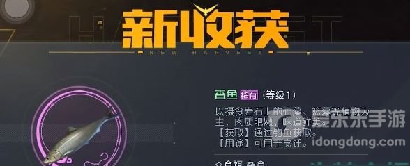 黎明觉醒香鱼在哪钓 香鱼分位置分布攻略大全