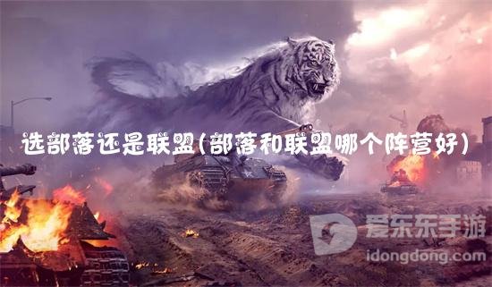 魔兽联盟和部落之战哪个好玩 选联盟还是部落