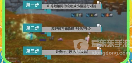 魔兽世界宠物升级方法 宠物怎么升级