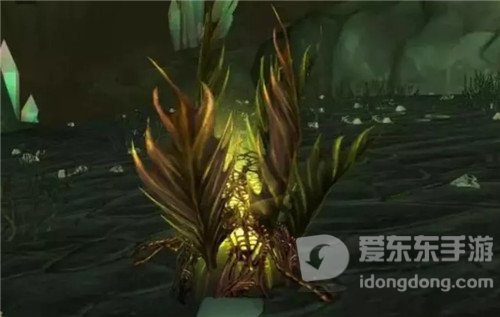 魔兽世界怀旧服噩梦藤价格起飞 刀锋山有BUG点 无限采集1小时30个