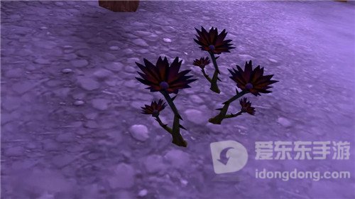 魔兽世界赛季服“黑莲花”提高刷新率 采集可以获取元素材料