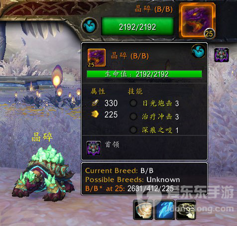 魔兽世界晋升堡垒宠物对战任务攻略