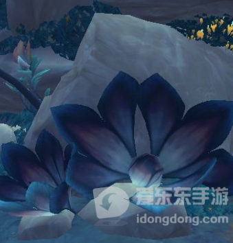 魔兽世界被遗弃的物资位置一览