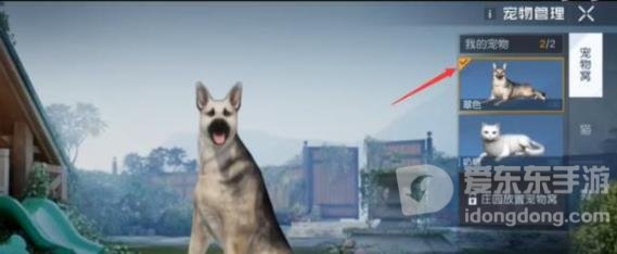 黎明觉醒生机怎么把猫带出去 猫带出门的方法介绍