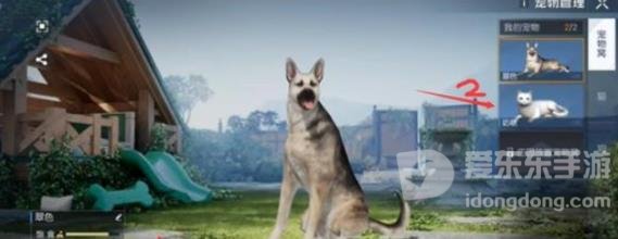 黎明觉醒生机怎么把猫带出去 猫带出门的方法介绍