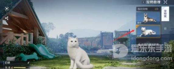 黎明觉醒生机怎么把猫带出去 猫带出门的方法介绍