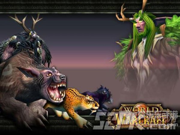 魔兽世界怀旧服德鲁伊常用宏 奶德宏分享