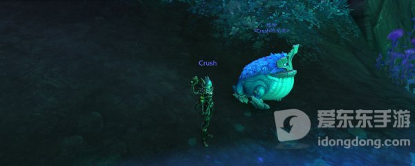 魔兽世界9.0猎人新宝宝蟾蜍 9.0猎人宝宝蟾蜍新外观展示