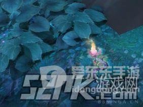 魔兽世界9.0各种类草药一览 9.0采药心得