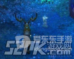 魔兽世界9.0各种类草药一览 9.0采药心得