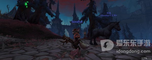 魔兽世界9.0雷文德斯猎人可驯服宠物介绍