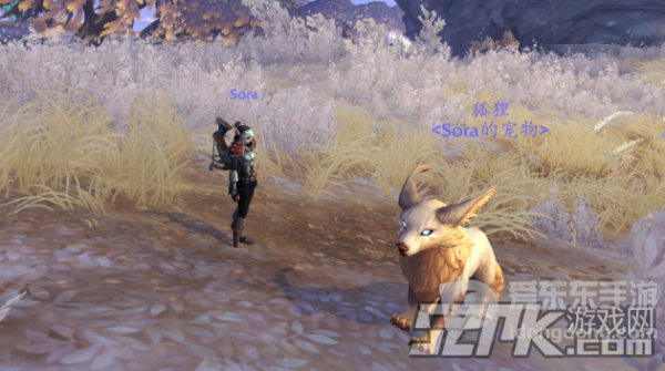 魔兽世界9.0晋升堡垒可驯服宠物一览 9.0猎人新宝宝