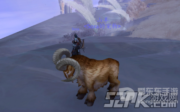 魔兽世界9.0晋升堡垒可驯服宠物一览 9.0猎人新宝宝