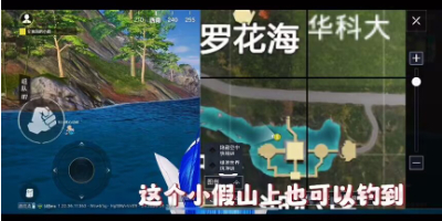 和平精英绿洲世界巨骨舌鱼位置介绍 绿洲世界巨骨舌鱼位置一览