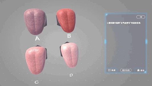 舌诊技能实训