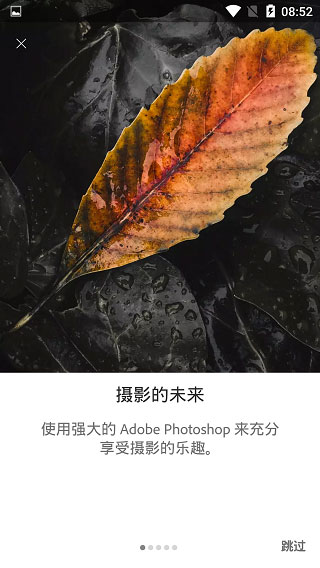 lightroom免登录