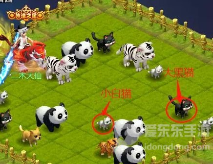 梦幻西游网页版守卫仙境过关指南 周年庆守卫仙境过关攻略