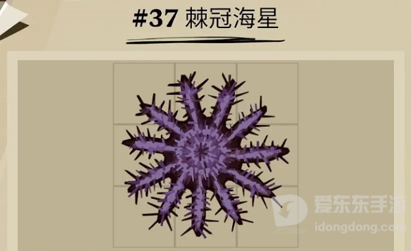 渔帆暗涌棘冠海星位置在哪 棘冠海星位置一览