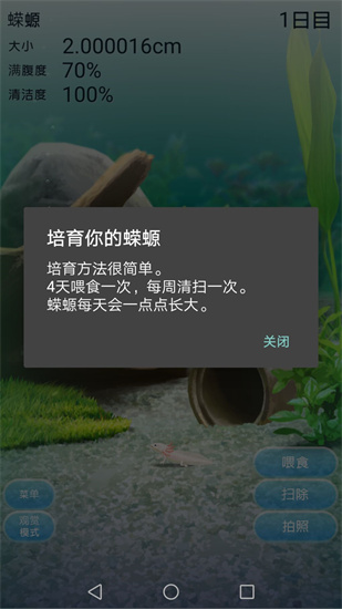 治愈的蝾螈