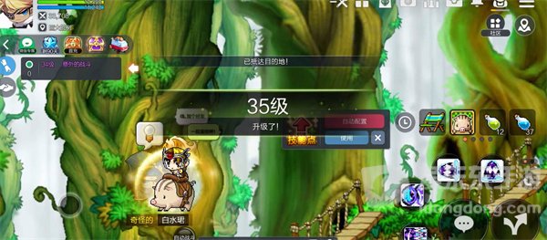 冒险岛枫之传说公测兑换码有哪些 公测兑换码大全一览