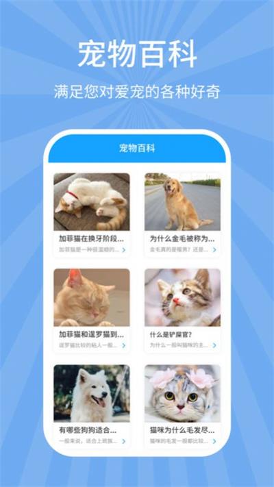 狗猫翻译器